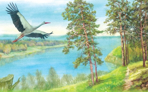 Природа Беларуси рисунки