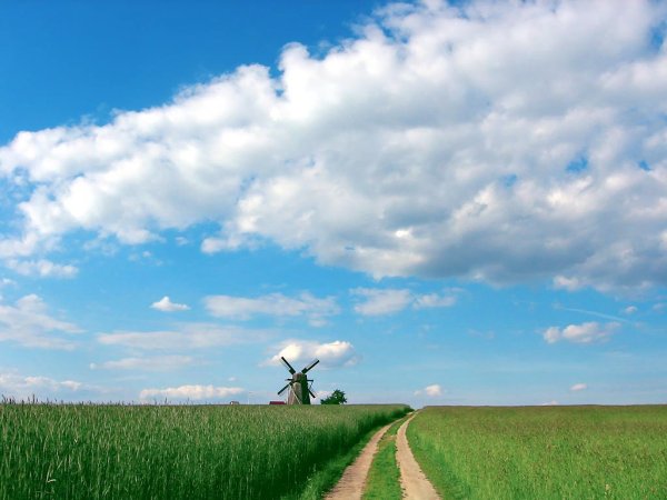 Фон Беларусь природа