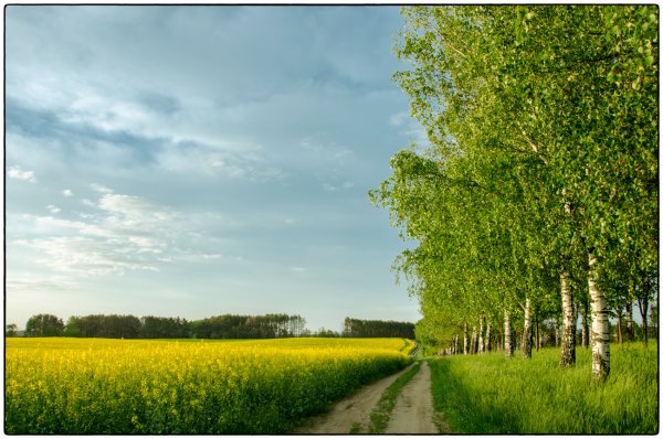 Беларусь природа с надписью