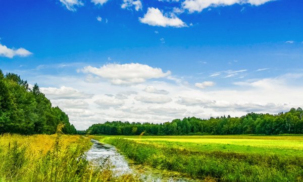 Просторы Беларуси природа