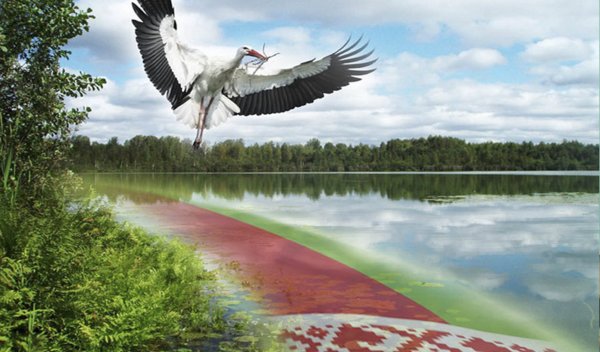 Птица над полем цветов