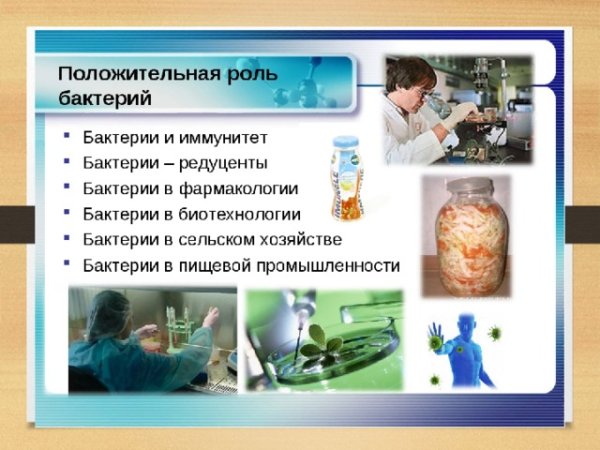Общая характеристика бактерий в природе
