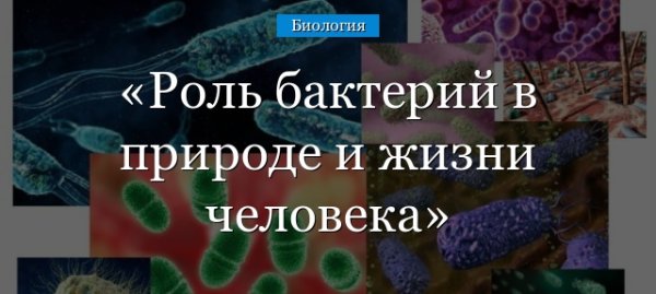 Значение биологии в окружающей среде