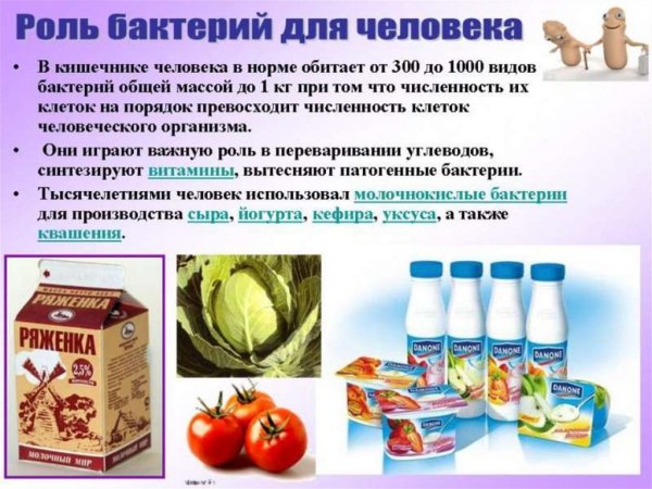 Бактерии в природе