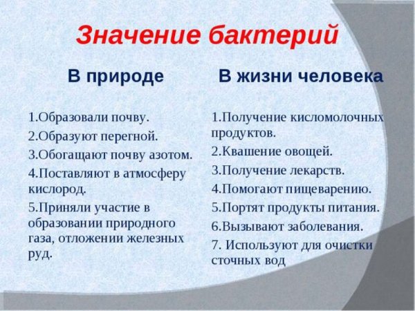 Роль боктерии в природе