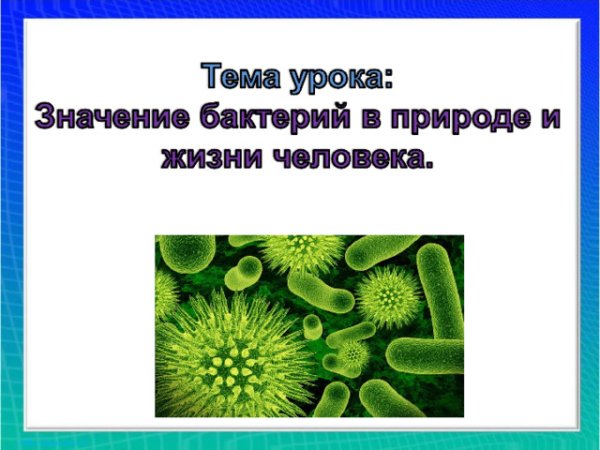 Презентация на тему микробы