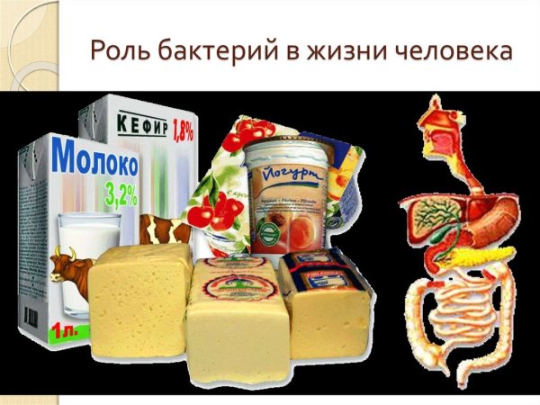 Разные бактерии