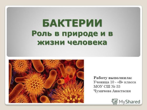 Почвенные микроорганизмы презентация
