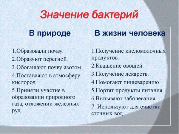 Роль боктерии в природе