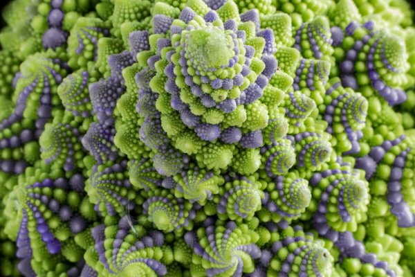 Цветок жизни Сакральная геометрия вектор