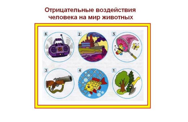 Как человек влияет на природу картинки