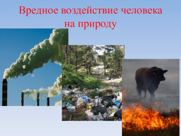 Химическое загрязнение