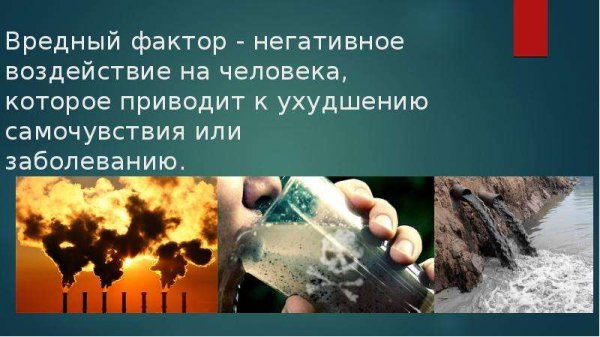 Влияние человека на природу