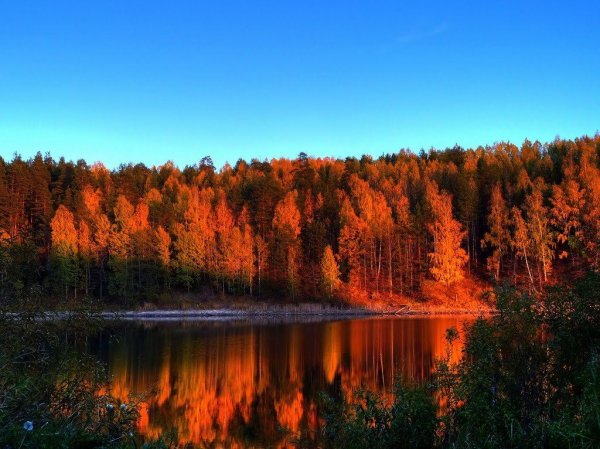 Красота природы Марий Эл