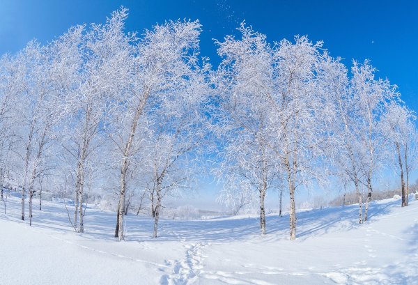 Русская природа зимой