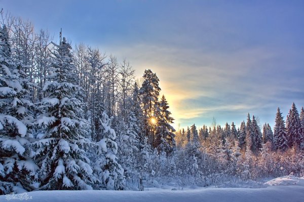 Зимний пейзаж