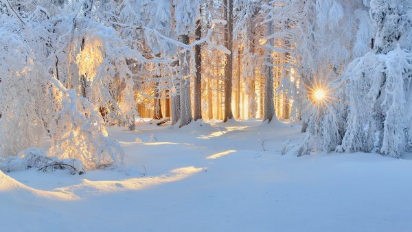 Федор Тютчев Чародейкою зимой