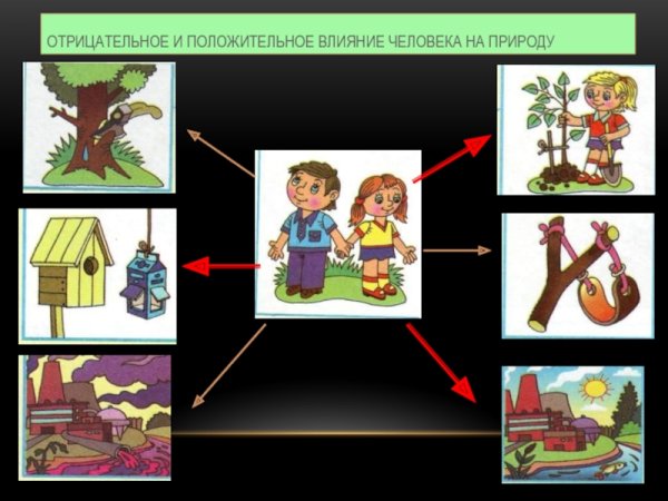 Положительное влтияние человек на природу