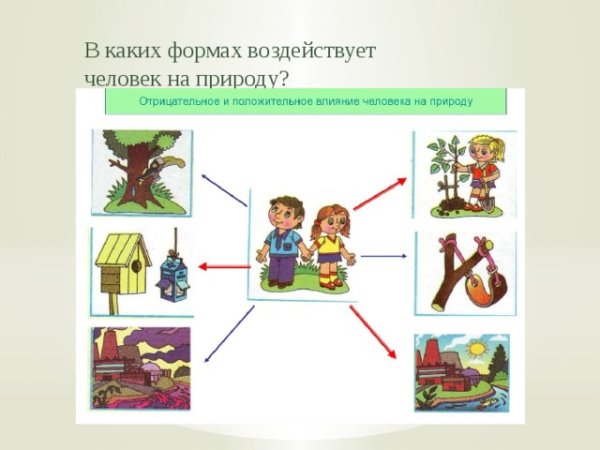 Положительное влияние человека на природу