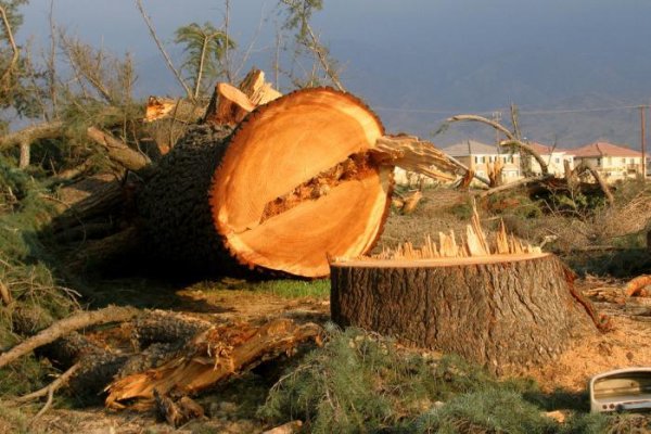 Влияние человека на природу