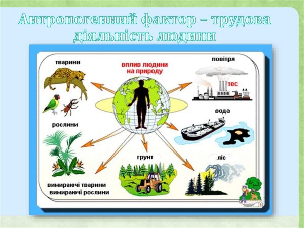 Отрицательное влияние человека на природу