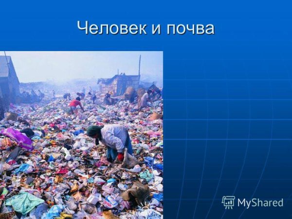 Воздействие человека на природу
