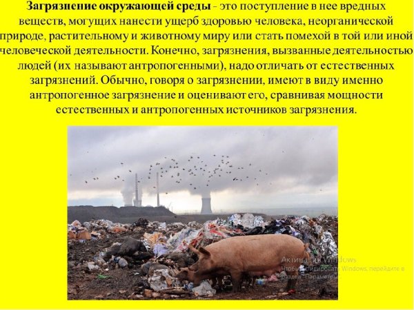 Плакат воздействие человека на природу