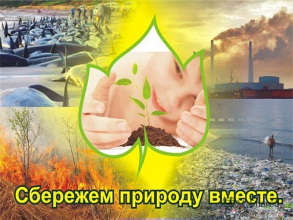 Влияние человека на окружающую среду