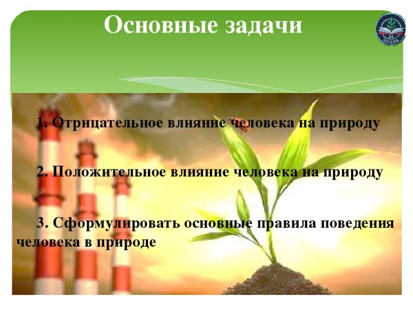 Пожар в лесу