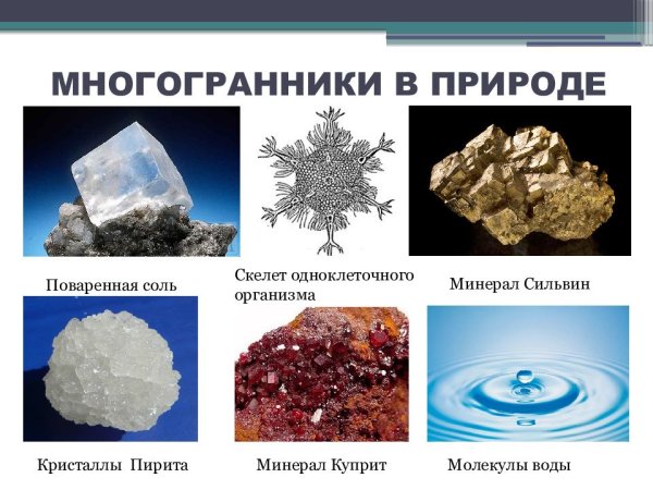 Многогранники в природе