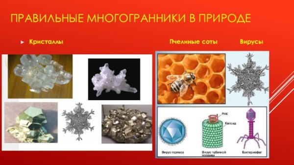 Правильные многогранники в природе