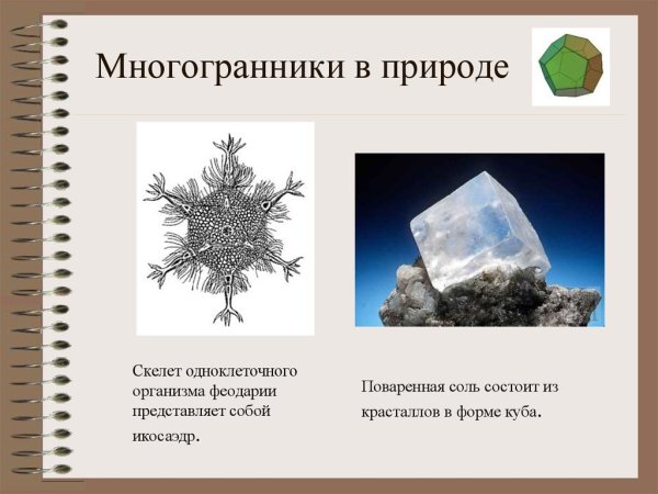Многогранники в природе Кристаллы поваренной соли