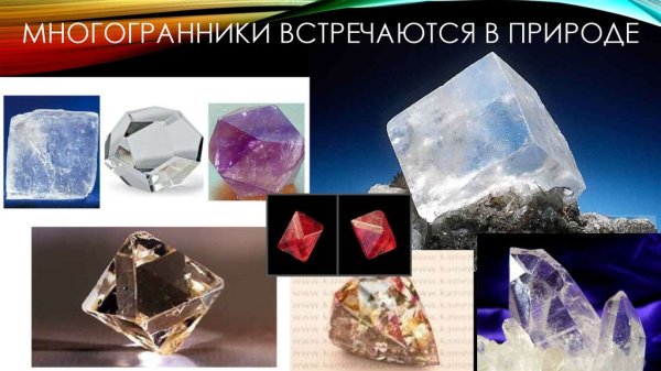 Правильные многогранники в природе икосаэдр