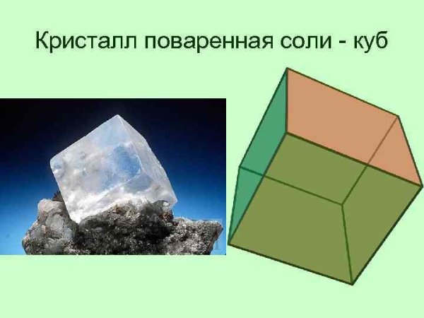 Правильные многогранники в природе