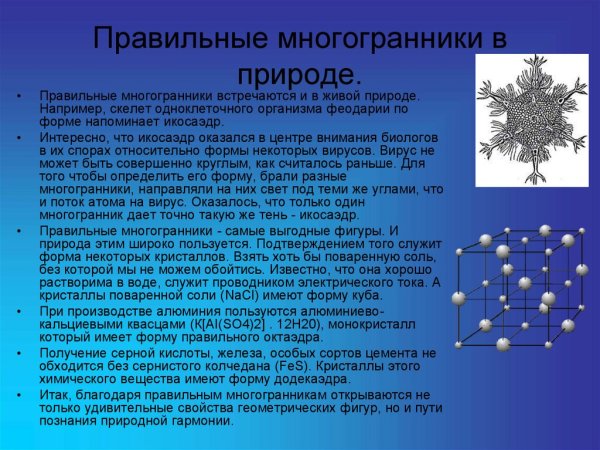 Многогранники в природе