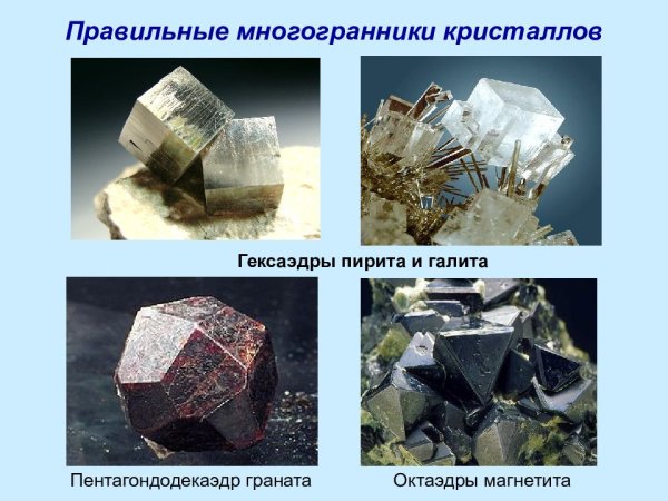 Правильные многогранники в природе