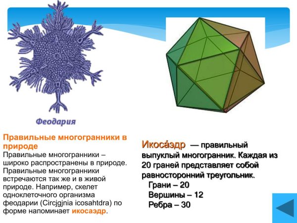 Кристаллы правильные многоугольники