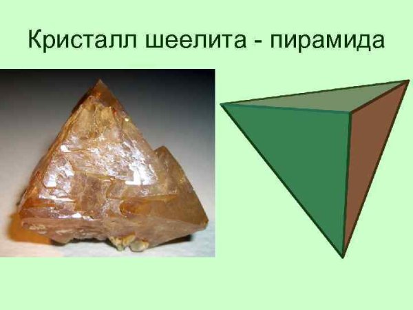Правильные многогранники в природе