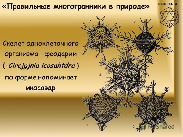 Форма икосаэдра