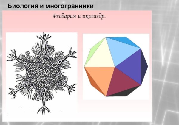 Многогранники в жизни