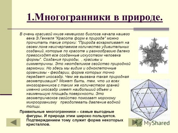 Многогранники в жизни