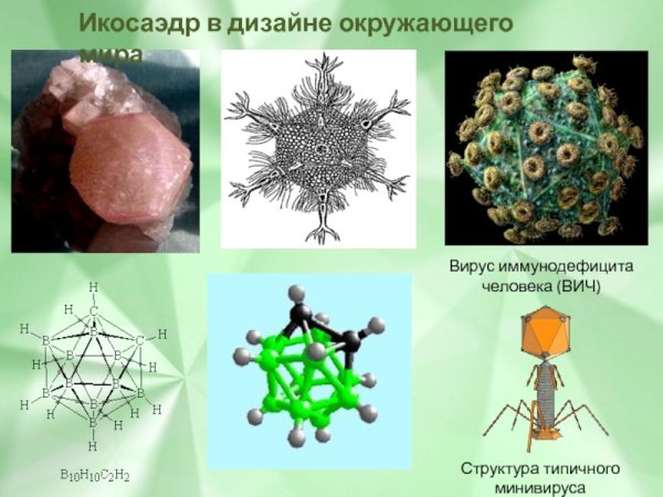 Правильные многогранники в жизни