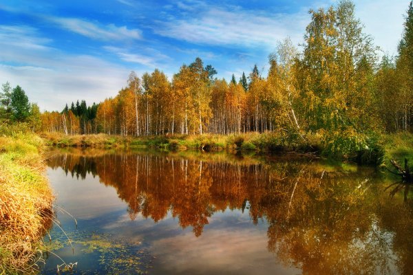 Золотая осень