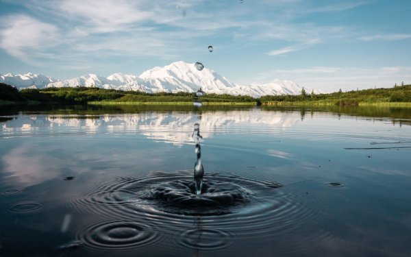 Чистый водоем