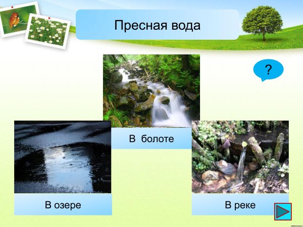 Загрязнение воды