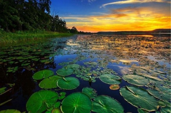 Пресноводные источники воды