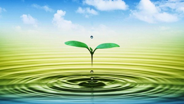 Экология воды