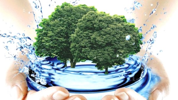 Экология воды