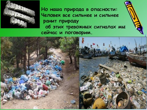 Проект на тему природа в опасности