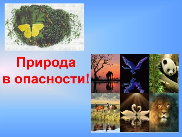 Экология и окружающая среда на английском